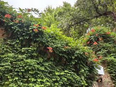 -西安电影制片厂