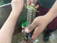 -班赞海鲜市场