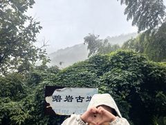 -长兴太湖图影湿地文化园