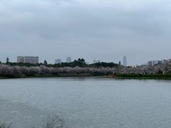 -海珠湖公园