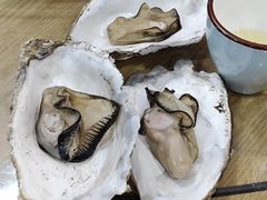 -老家黄墩小错鸡·活海鲜