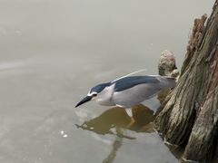 -海珠湖公园