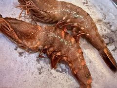 -熊出没日本烧肉放题