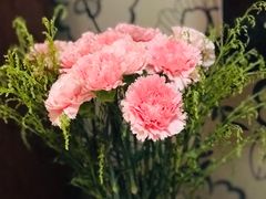 -FEI FEI FLOWER鲜花店·气球派对·宝宝宴布置(虹口德必运动Loft店)