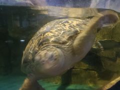 -多彩贵州城极地海洋世界