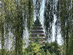 -洛阳白马寺