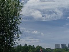 -青枫公园
