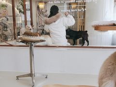 -共舞时光猫咖·狗咖(新街口店)