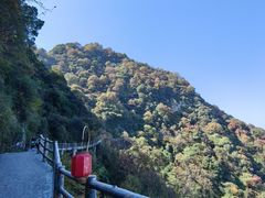 -少华山国家森林公园