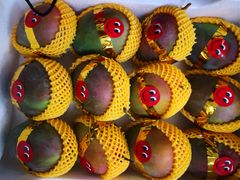 -西郊国际农产品交易中心