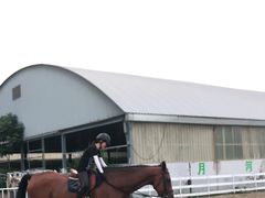 -月河湾马术俱乐部(朝阳店)