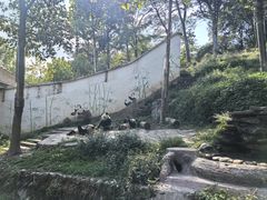 -碧峰峡风景区