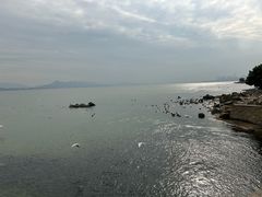-深圳湾公园(南山区)