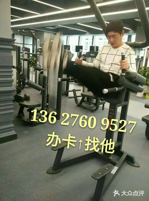 金吉鸟健身游泳图片