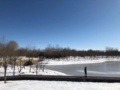 -东郊湿地公园