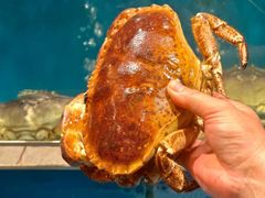 -鲜炉季港式打边炉(尚海湾店)