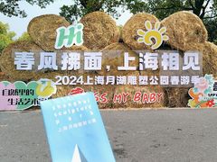-上海月湖雕塑公园