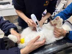 -御宝贝24h宠物医院·转诊中心·CT核磁血透中心(厦门总院)