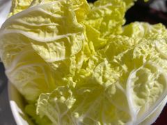 -海底捞火锅(劲松店)