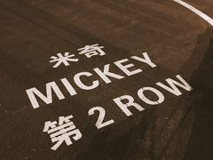 -迪士尼乐园停车场