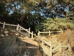 -草庵摩尼教遗址公园