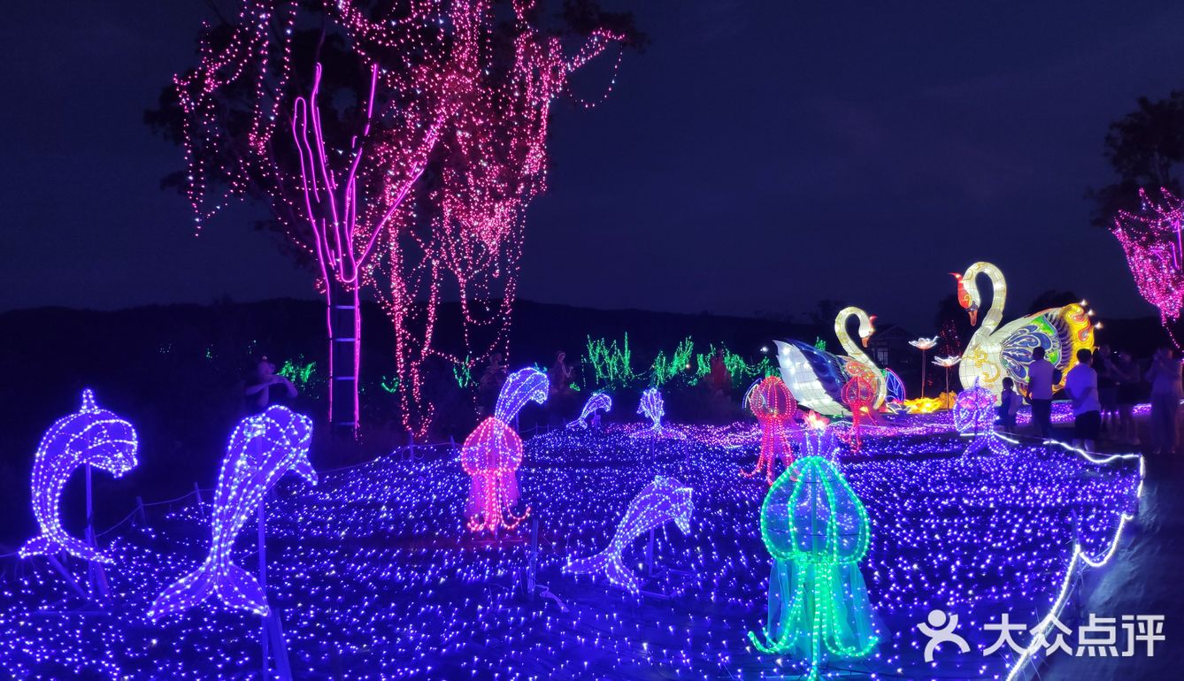 夜遊花星球燈光秀