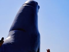 -海驴岛(荣成市)