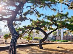 -老虎石海上公园