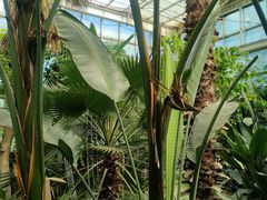 -石家庄市植物园