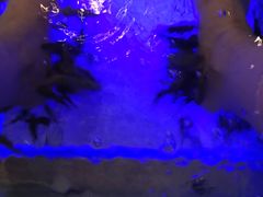 -金沙汤泉·足道洗浴汗蒸