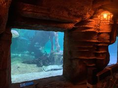 -华夏文旅海洋公园