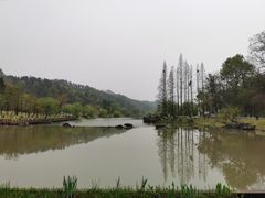 -常德桃花源景区