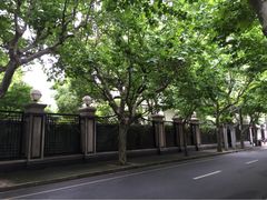 Ginger&nbsp;by&nbsp;the&nbsp;park-Ginger(兴国路店)