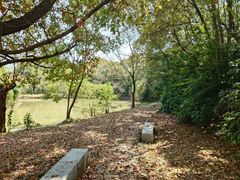 -上海中医药大学附属曙光医院(东部)