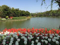 -上海鲜花港