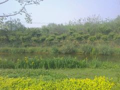 -白鹭湾湿地公园