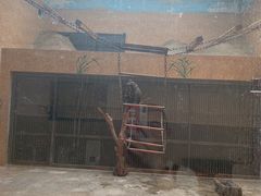 -石家庄市动物园