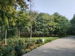 -秀水公园