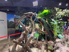 -正佳雨林生态植物园