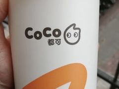 绿茶养乐多-CoCo都可(南大街店)