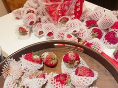 -双福水果批发市场