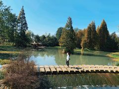 -桤木河湿地公园