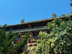 -潭柘寺景区