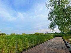 -永定河休闲森林公园