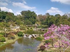-东莞植物园
