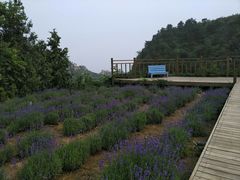 -云峰山自然风景区