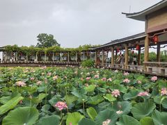 -广州莲花山旅游区