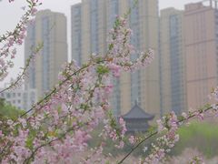 -堤角公园