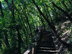 -帽儿山国家森林公园