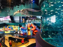 -瑞普利水族馆